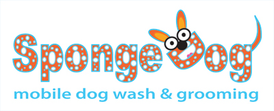 SpongeDog